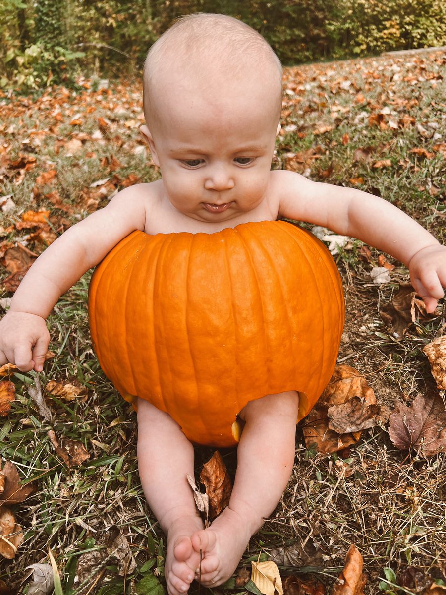 MirandaKaiii's tweet photo. 🎃🎃🎃 https://t.co/Xyc8Dy3YDT