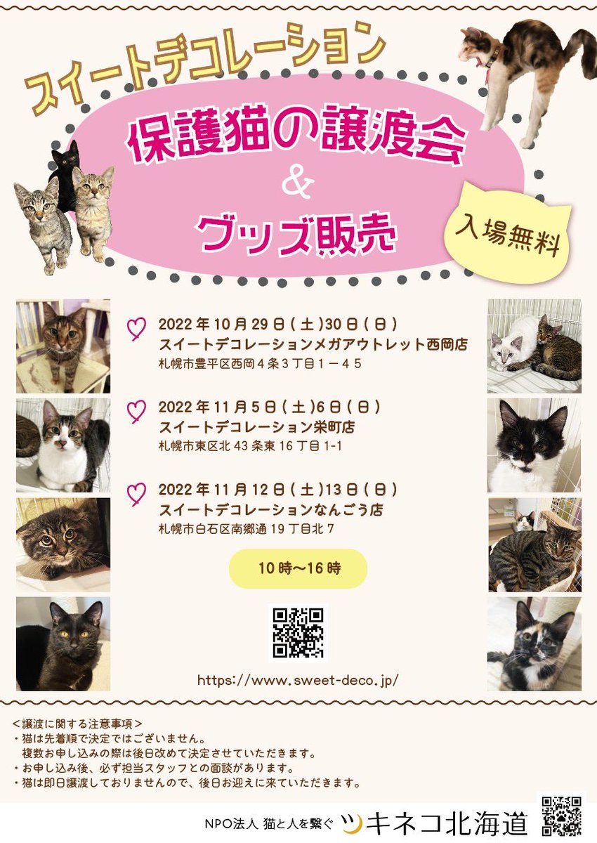 tsukinekocafe's tweet photo. 譲渡会開催のお知らせです❣️
家具のハセガワの【長谷川産業さん】スイートデコレーション3店舗で、
⭐️保護猫譲渡会⭐️開催させていただきます。
夏に初��て開催させて頂いた際にはなんと驚きの73匹の猫達にお声掛かりました✨
今回もたくさんの保護猫達が新しい家族を待っています❣️
#スイデコツキネコ https://t.co/nO8rnmm2Dq