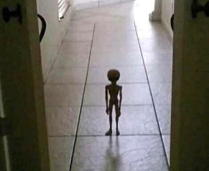 aemond coming back to tell alicent that he may have accidentally kickstarted a war 
#HouseoftheDragon #HOTDFinale