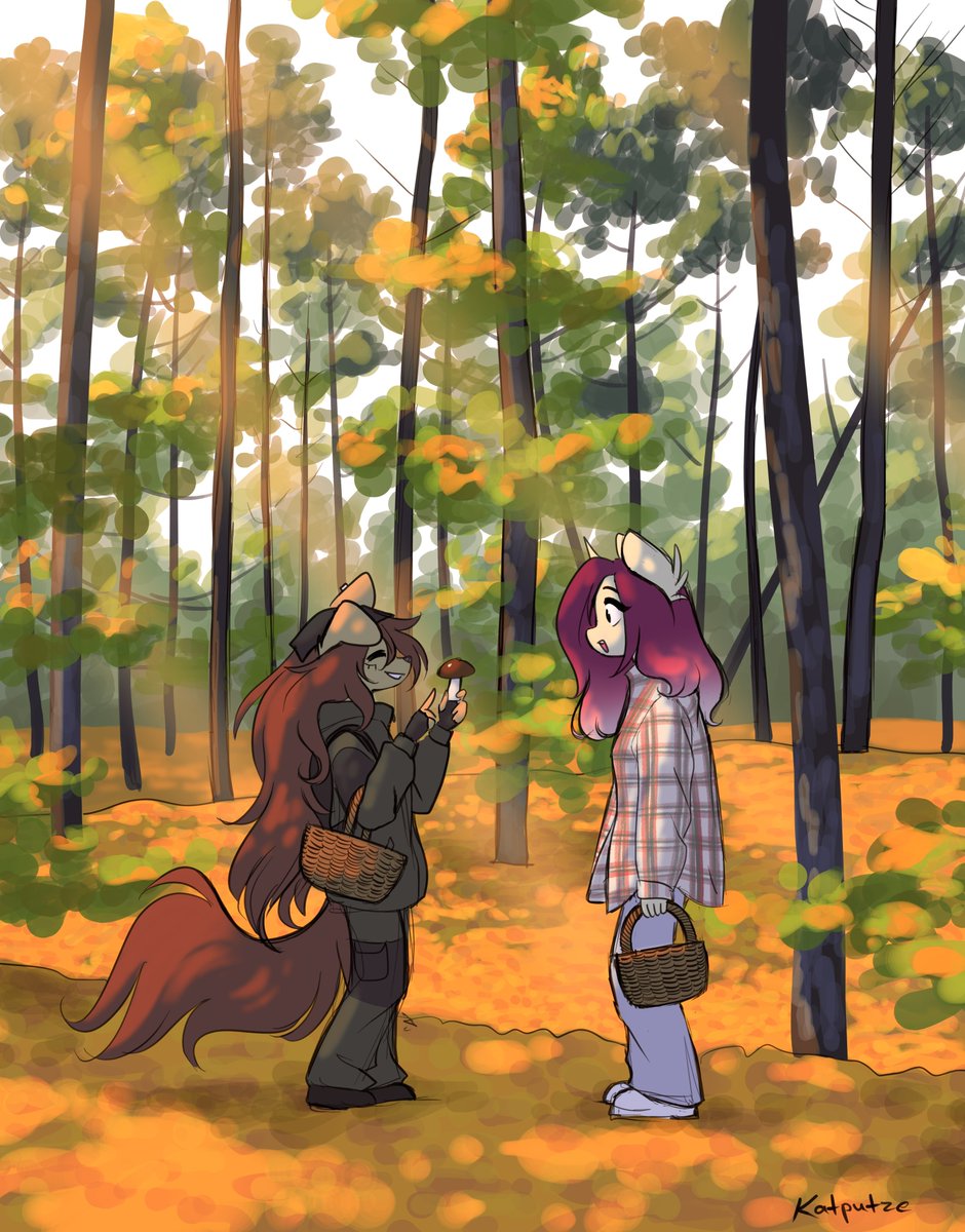 They are out hunting mushroomz