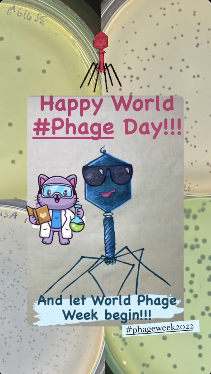 May the Phorce be with you all on this #WorldPhageDay #phageweek2022 #WorldPhageWeek