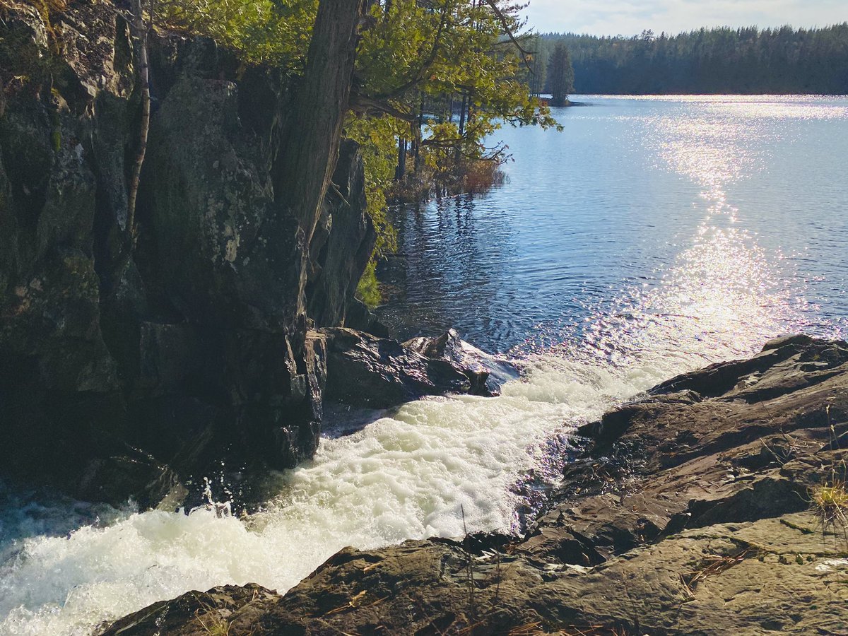 marykkeown's tweet photo. It was so gorgeous, I hope y’all got some outside time this wknd. #KoralTheKayak and I did 2 #paddles in 2d. Today we went N of #Capreol to a creek I discovered in June. No colour, but it was a lovely and relaxing wee #adventure. #NorthernOntario #KayakTheNorth @SudburyTourism https://t.co/wciCPtluLv