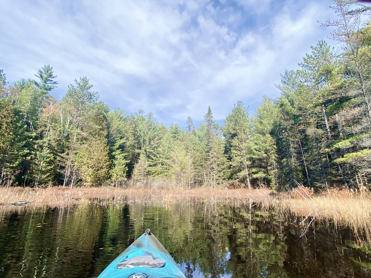 marykkeown's tweet photo. It was so gorgeous, I hope y’all got some outside time this wknd. #KoralTheKayak and I did 2 #paddles in 2d. Today we went N of #Capreol to a creek I discovered in June. No colour, but it was a lovely and relaxing wee #adventure. #NorthernOntario #KayakTheNorth @SudburyTourism https://t.co/wciCPtluLv