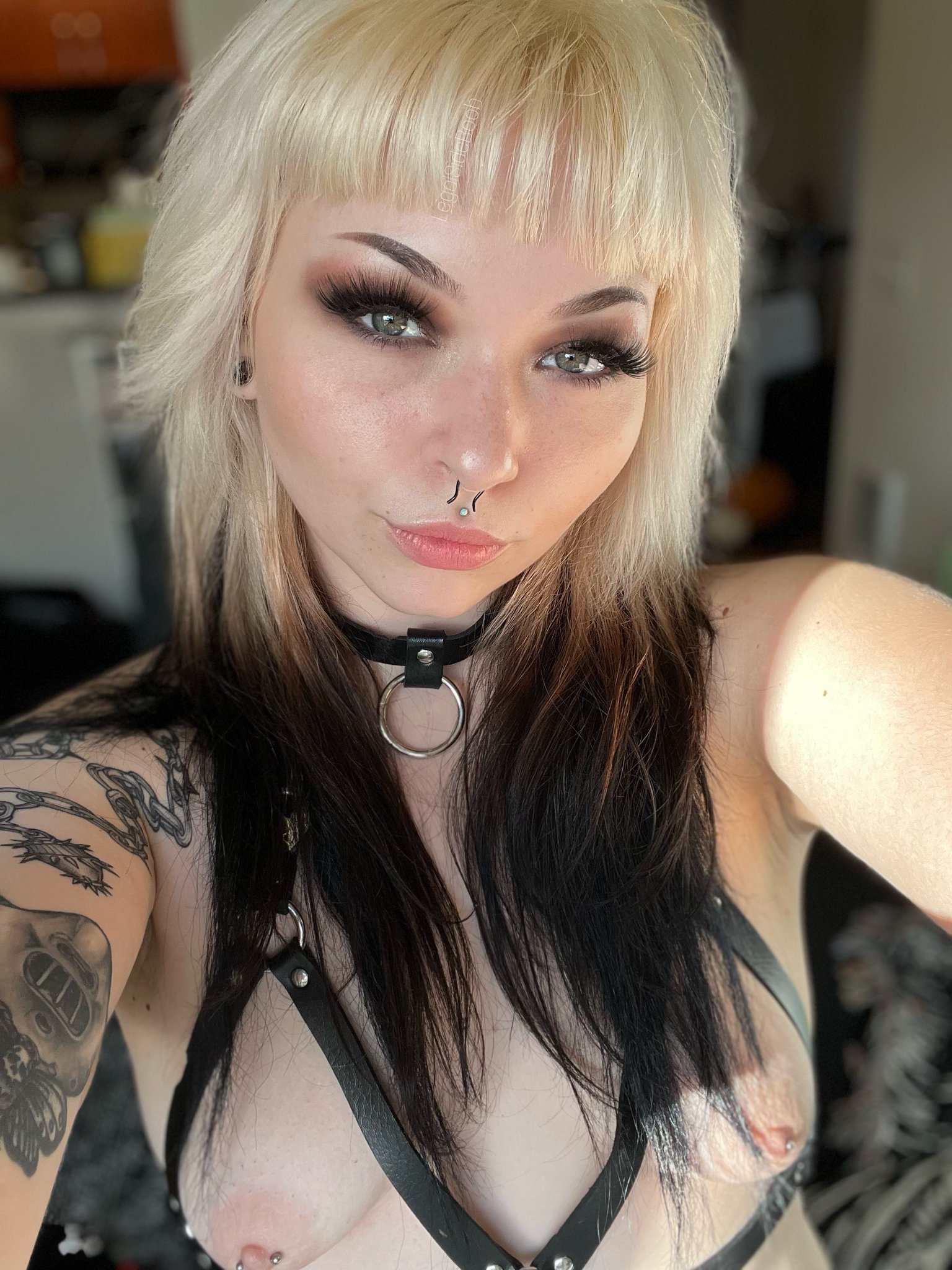 TW Pornstars - 1 pic. Haley Hex 🌙. Twitter. good evening I love taking  topless selfies. 2:27 AM - 24 Oct 2022