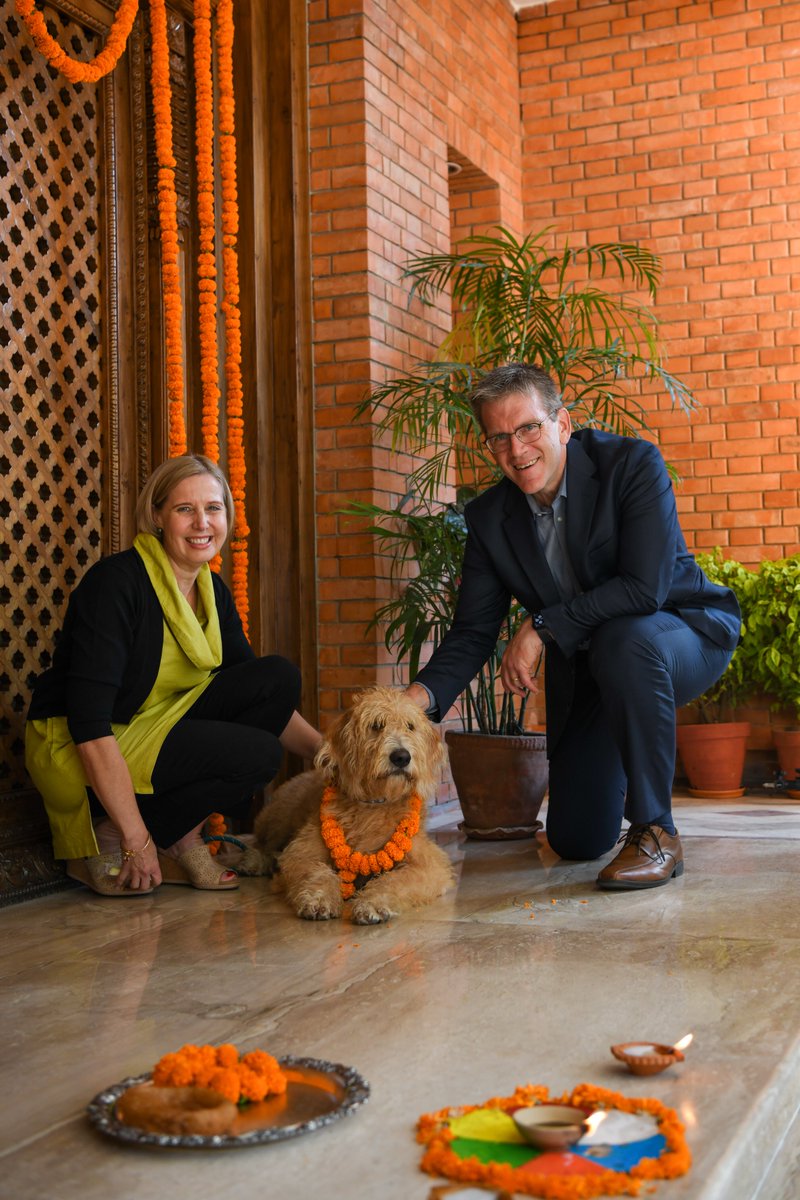 U.S. Ambassador Dean R. Thompson (@usambnepal) on Twitter photo Bogey’s first Tihar and first 10 days in Nepal – we’re loving it so far. Happy Kukur Tihar! Bogey’s first Tihar and first 10 days in Nepal – we’re loving it so far. Happy Kukur Tihar!