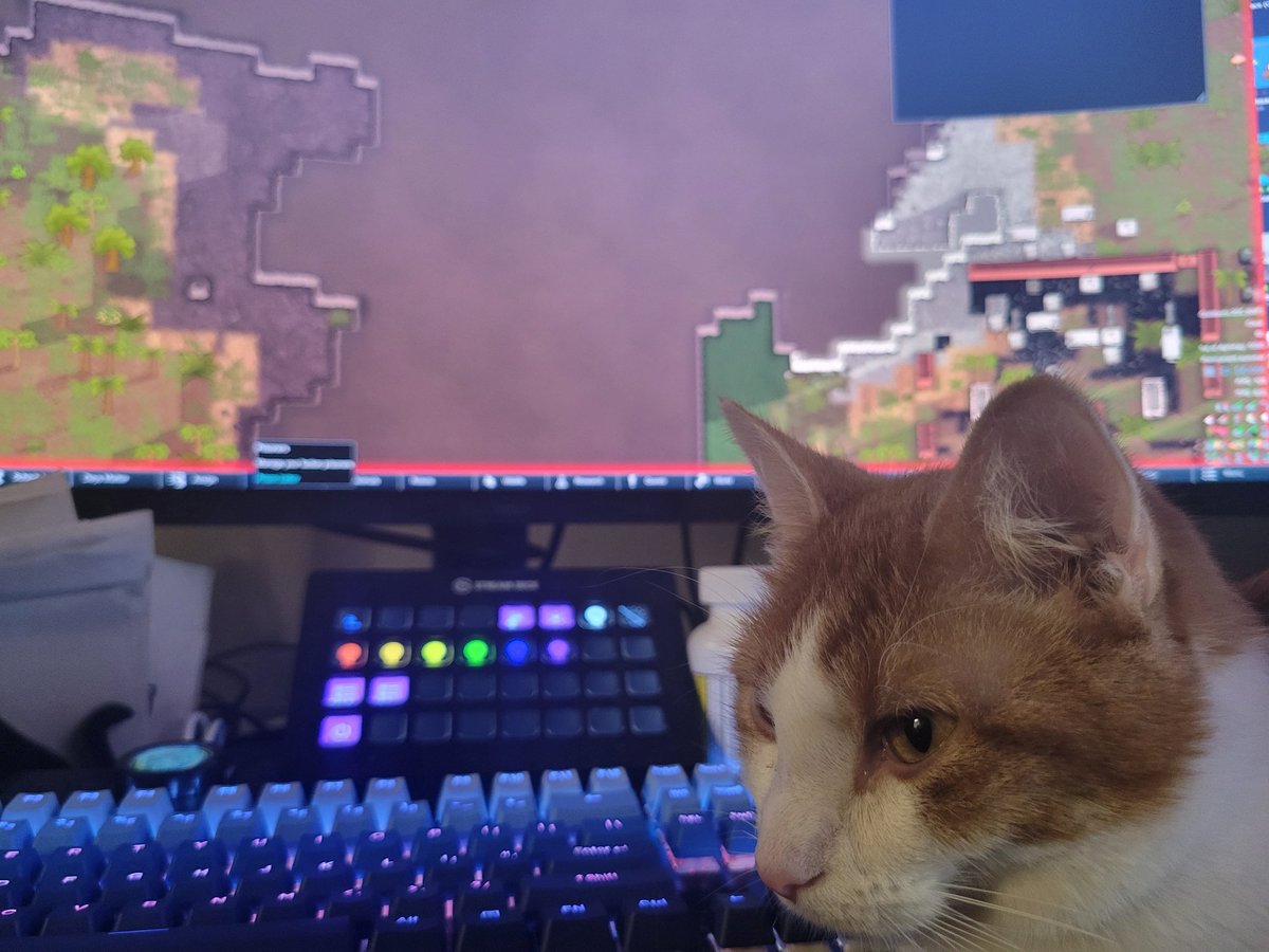 TheBlooest's tweet photo. Several years and two different cats, their love for RimWorld is eternal https://t.co/Lmgna7U8U3