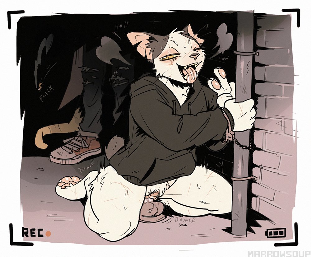 marrowsoup's tweet photo. ⚧️⚣ 
cat and rat https://t.co/BDQTtEGBiB