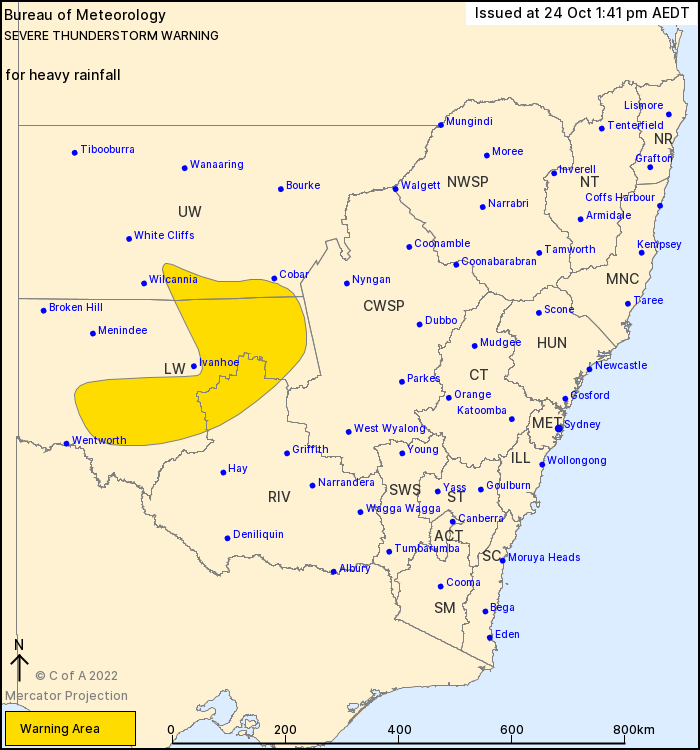 ⚠️⛈️ Severe Thunderstorm Warning for HEAVY RAINFALL in parts of Riverina, Lower Western and Upper Western Forecast Districts. View all weather warnings @BOM_NSW here bom.gov.au/nsw/warnings/