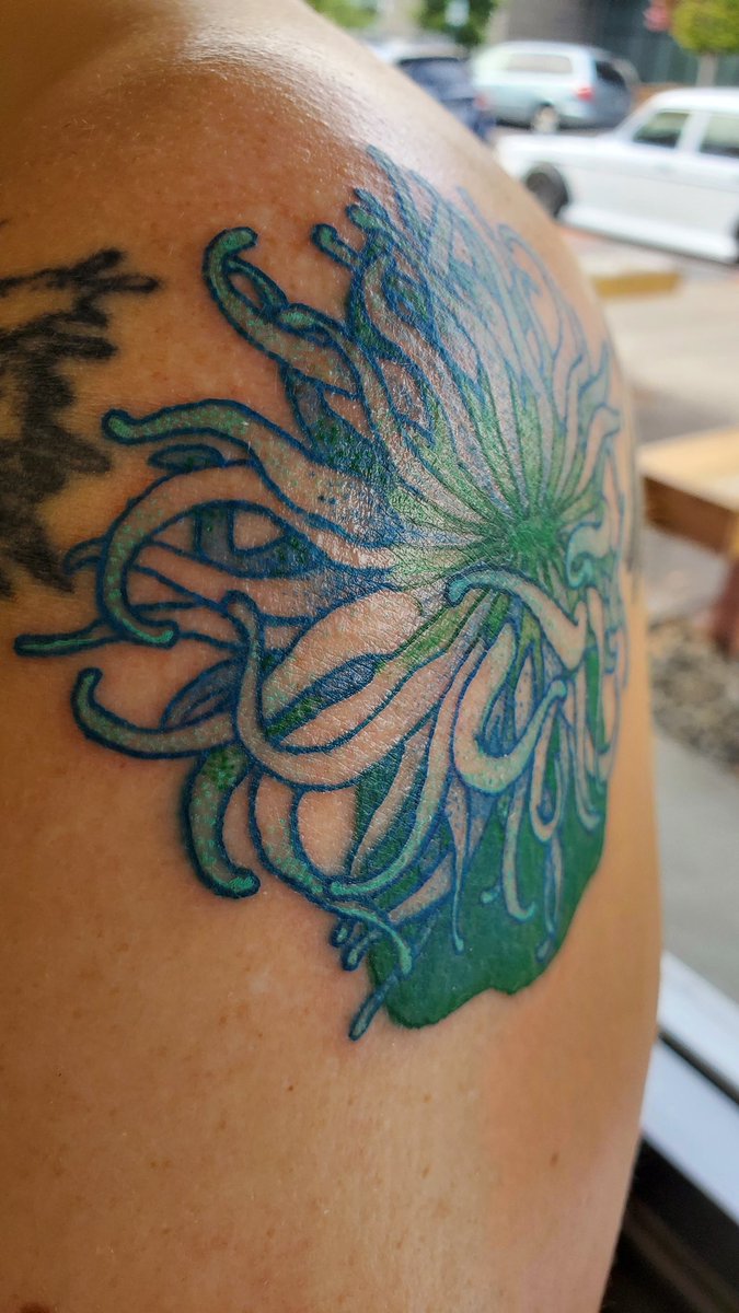 Bubble_Grim's tweet photo. An anemone addition to the sea side of my friend's arm :3
#tattooidea #tattooapprentice #tattoopractice #tattoodesign #seaanemone #seatattoo #seaanemonetattoo #colorink #tattoos #bubblegrim #tattooprocess https://t.co/LpcIK8DwBz