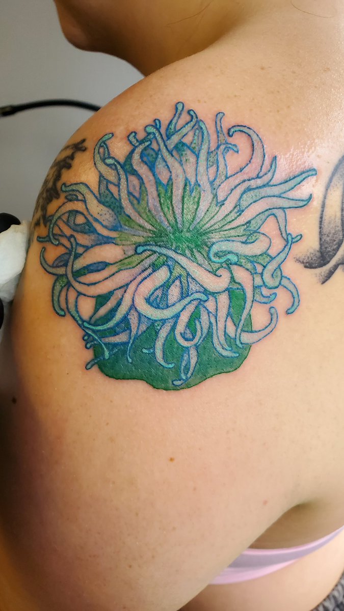 Bubble_Grim's tweet photo. An anemone addition to the sea side of my friend's arm :3
#tattooidea #tattooapprentice #tattoopractice #tattoodesign #seaanemone #seatattoo #seaanemonetattoo #colorink #tattoos #bubblegrim #tattooprocess https://t.co/LpcIK8DwBz
