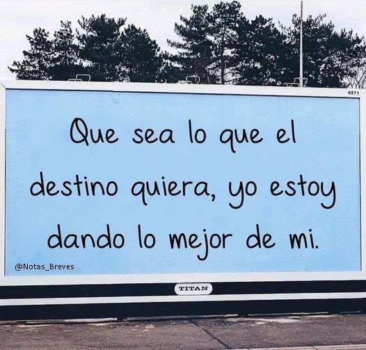 Notas Breves📝 (@biazeonx) on Twitter photo 