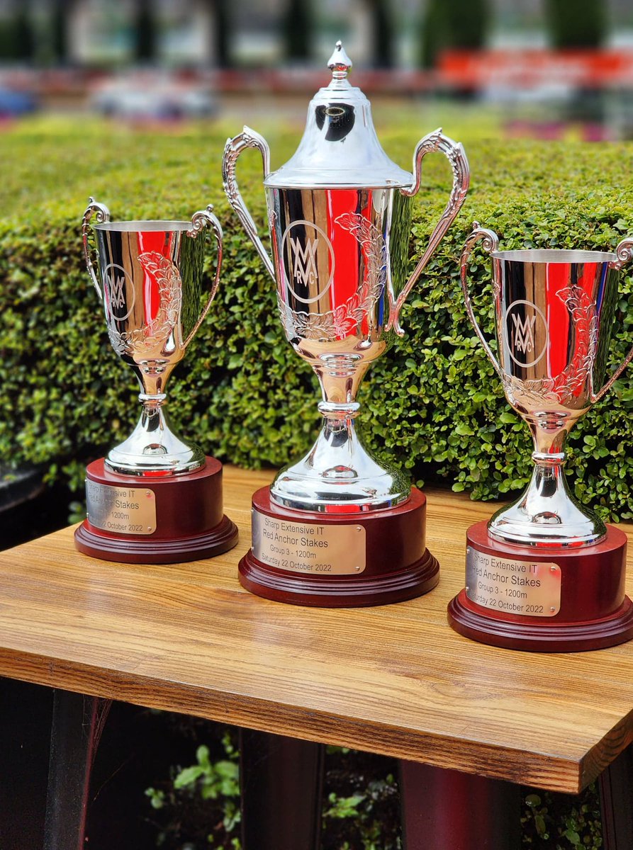 Sharp EIT Solutions tweet media