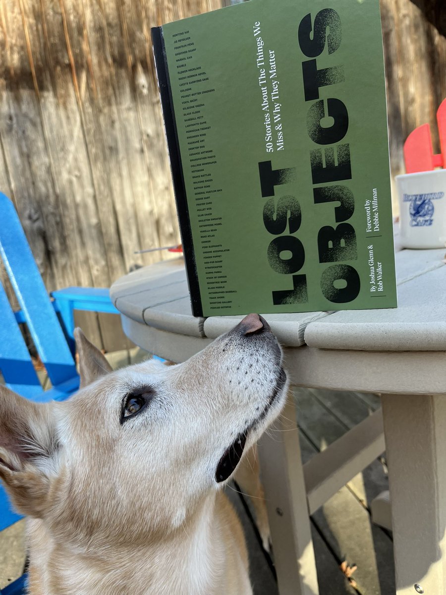 m_tisserand's tweet photo. Very happy to open this beautiful new @HILOBROW book and see this @JRocheWorkshop illustration for my tragic story about throwing away my shoes. Thx @notrobwalker and Joshua Glenn. Book model: Scout https://t.co/8hFutlPuOT