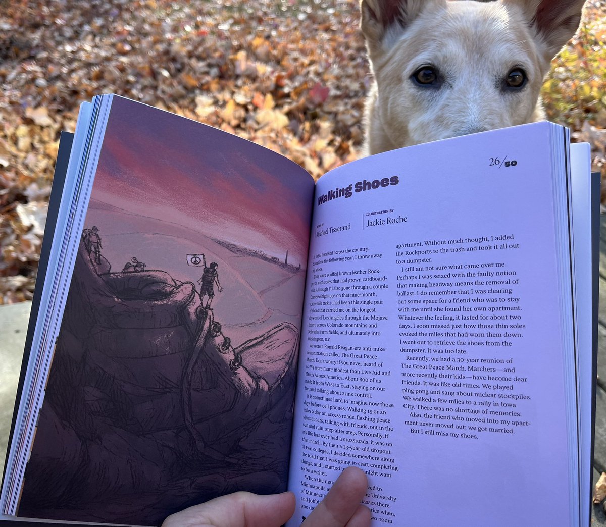 Very happy to open this beautiful new <a href="/HILOBROW/">HILOBROW</a> book and see this <a href="/JRocheWorkshop/">Jackie Roche</a> illustration for my tragic story about throwing away my shoes. Thx <a href="/notrobwalker/">Rob Walker</a> and Joshua Glenn. Book model: Scout