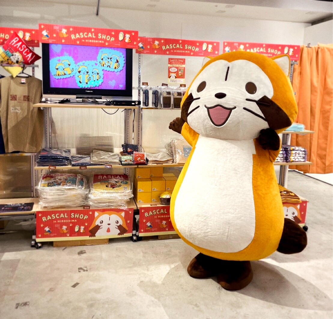 Rascal_Shippo's tweet image. ラスカルのお買い物④

買い物かごを持って、お買い物スタート！

のはずが...

店内で流れているラスカルたちの映像を発見👀
みんなに自慢したくて気を取られちゃったね😅
ようやくお買い物スタートです！