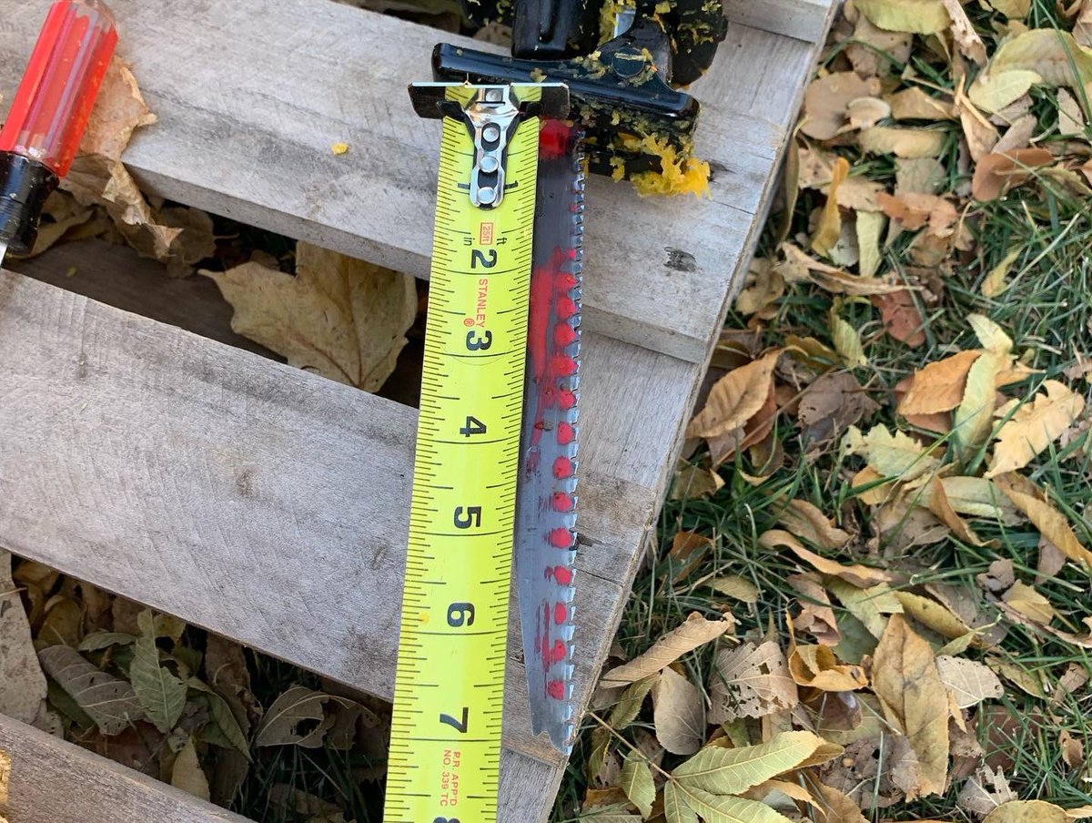 Dr Jessie Alt tweet media