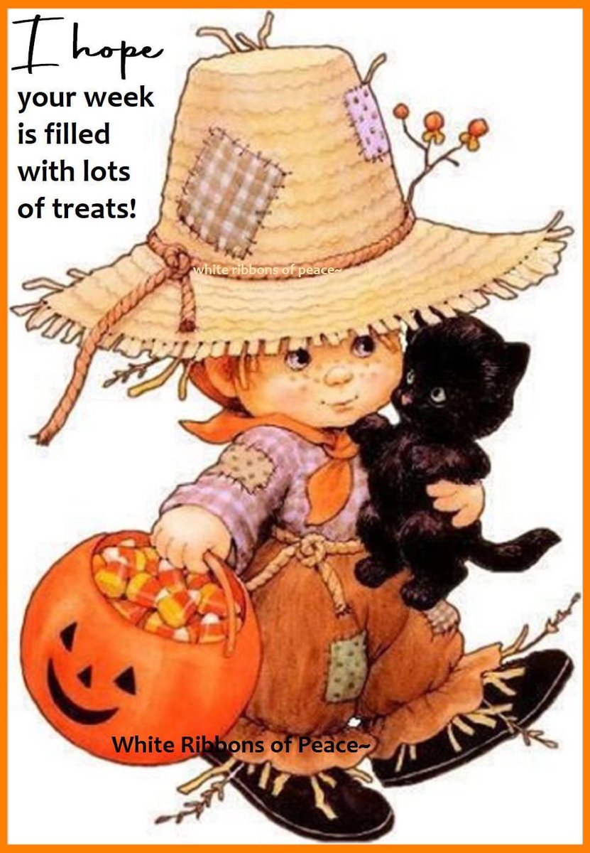 Al (@latif9al) on Twitter photo 