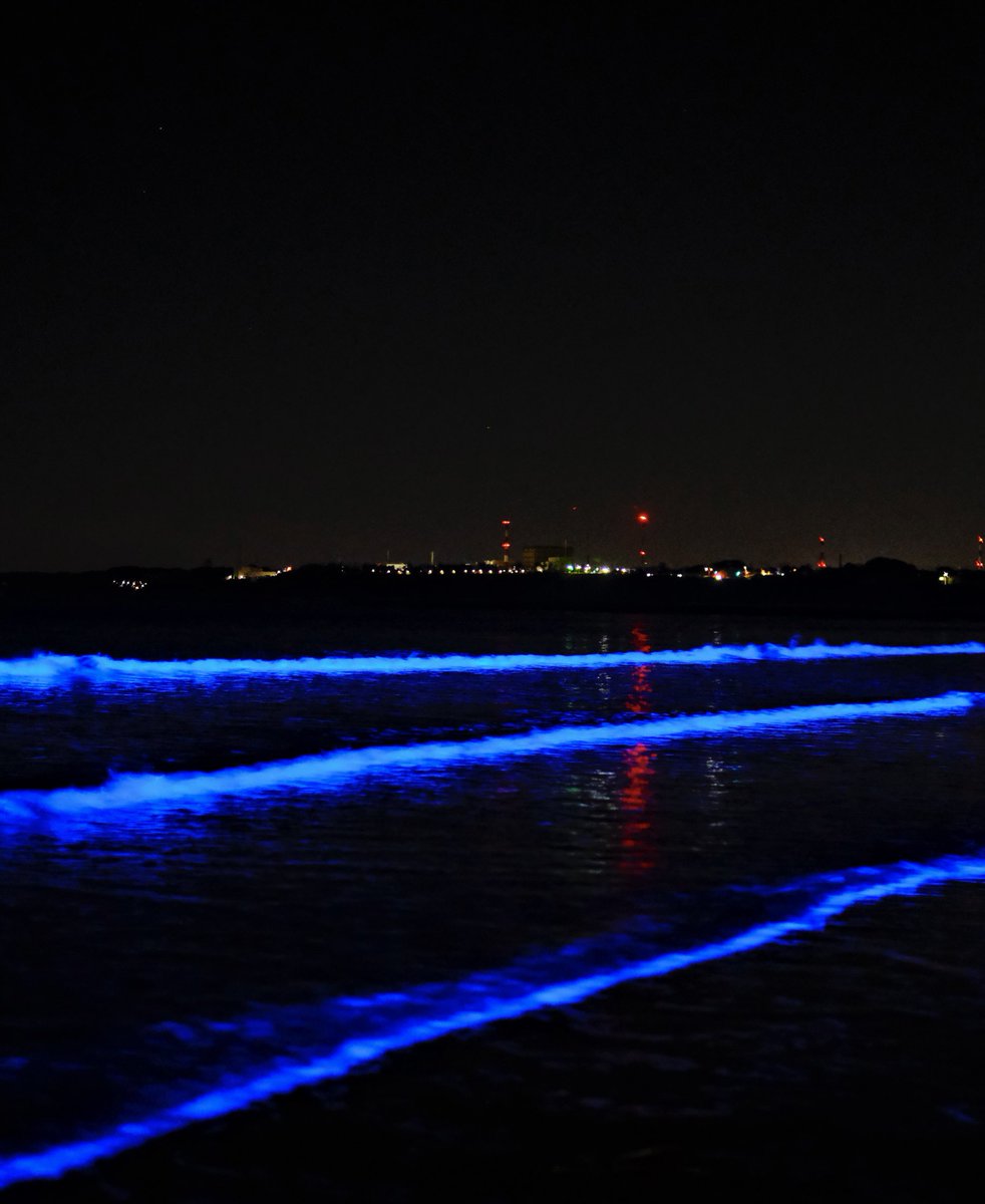 「青の波」

#写真好きな人と繋がりたい
#ファインダー越しの私の世界 
#FUJIFILM 
#photography