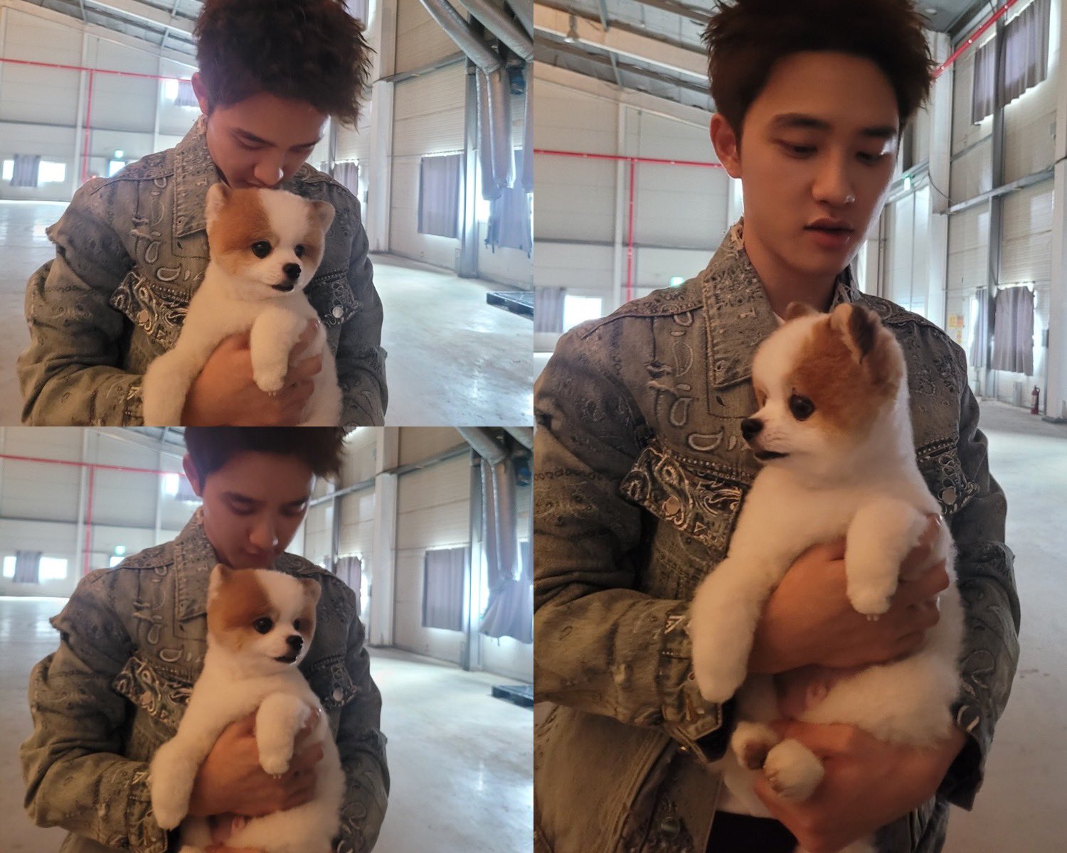 EXO - EXO ドギョンス　The dog EXO ドギョンス The dog