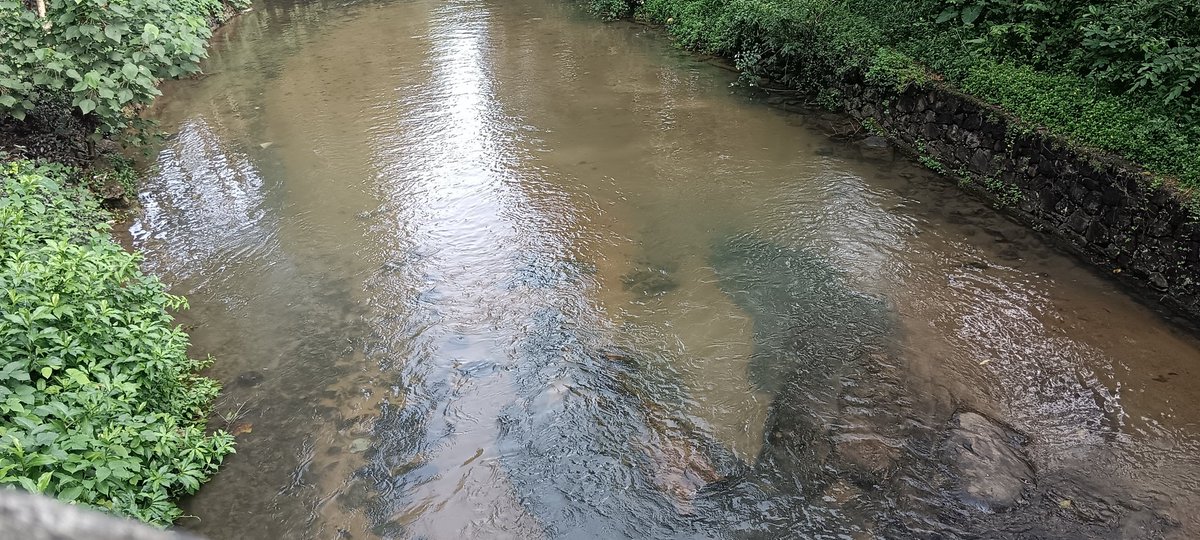 RayuduGampa's tweet photo. Beautiful #nature of the #Kerala https://t.co/HQfTKlPJlI