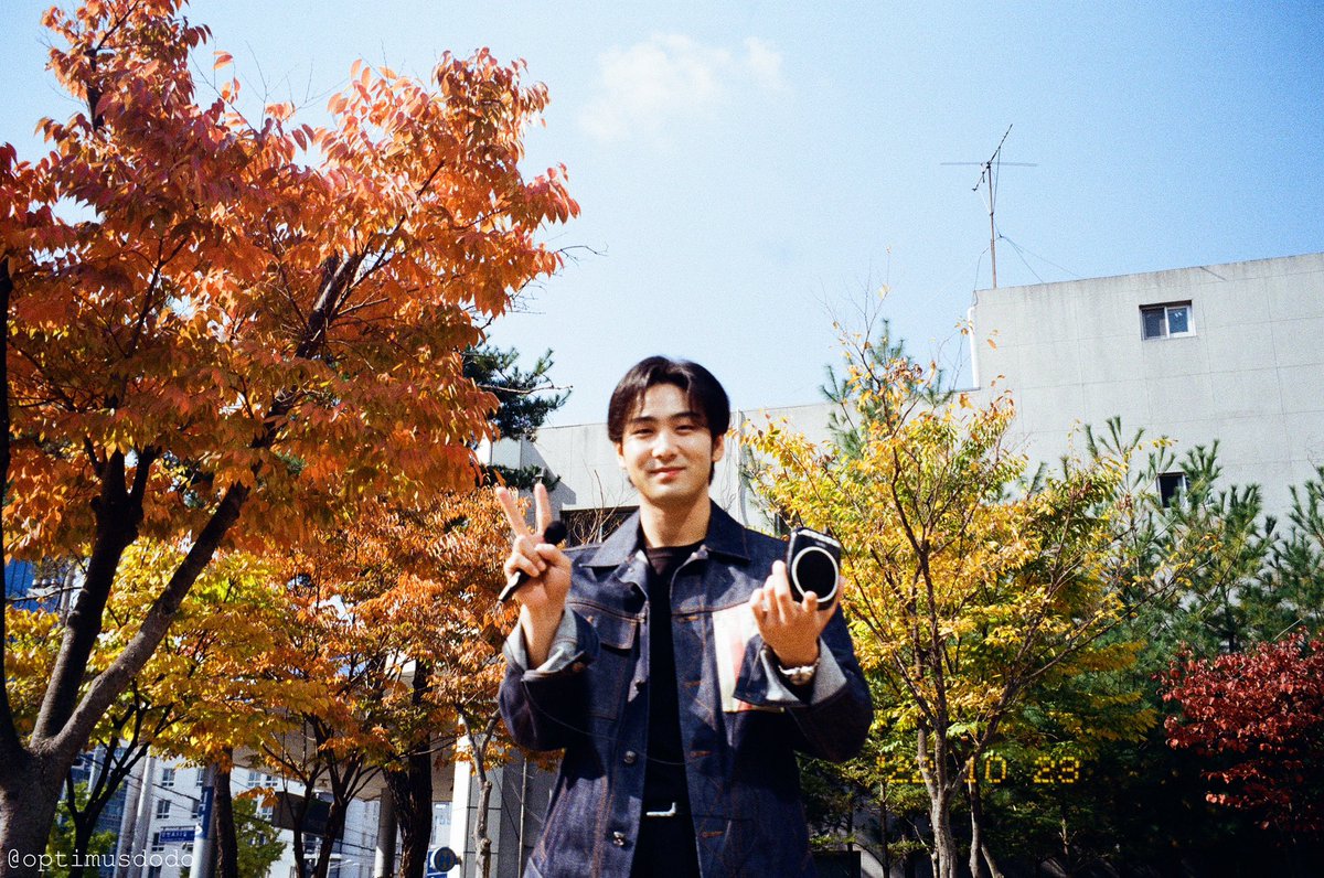 도도 tweet media