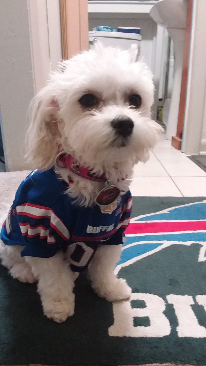 Johnmertz130's tweet photo. @sheseemslegit Get well soon. GO Bills! https://t.co/oskXpiuubj