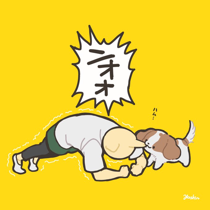 今日の犬です#うちのキャバリアは番犬にならない 