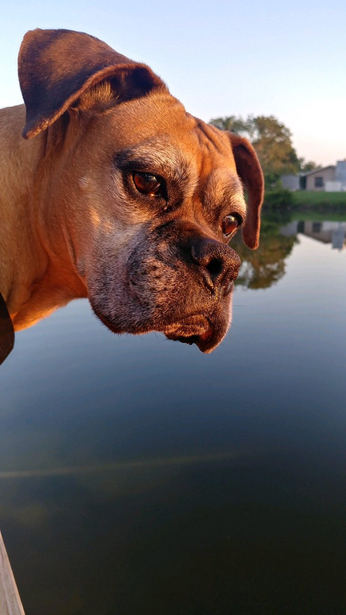 Omar Medina tweet media