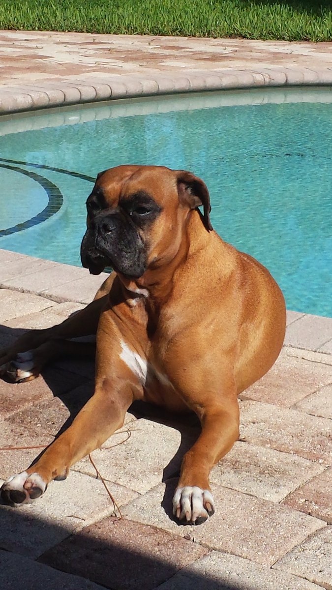 Omar Medina tweet media