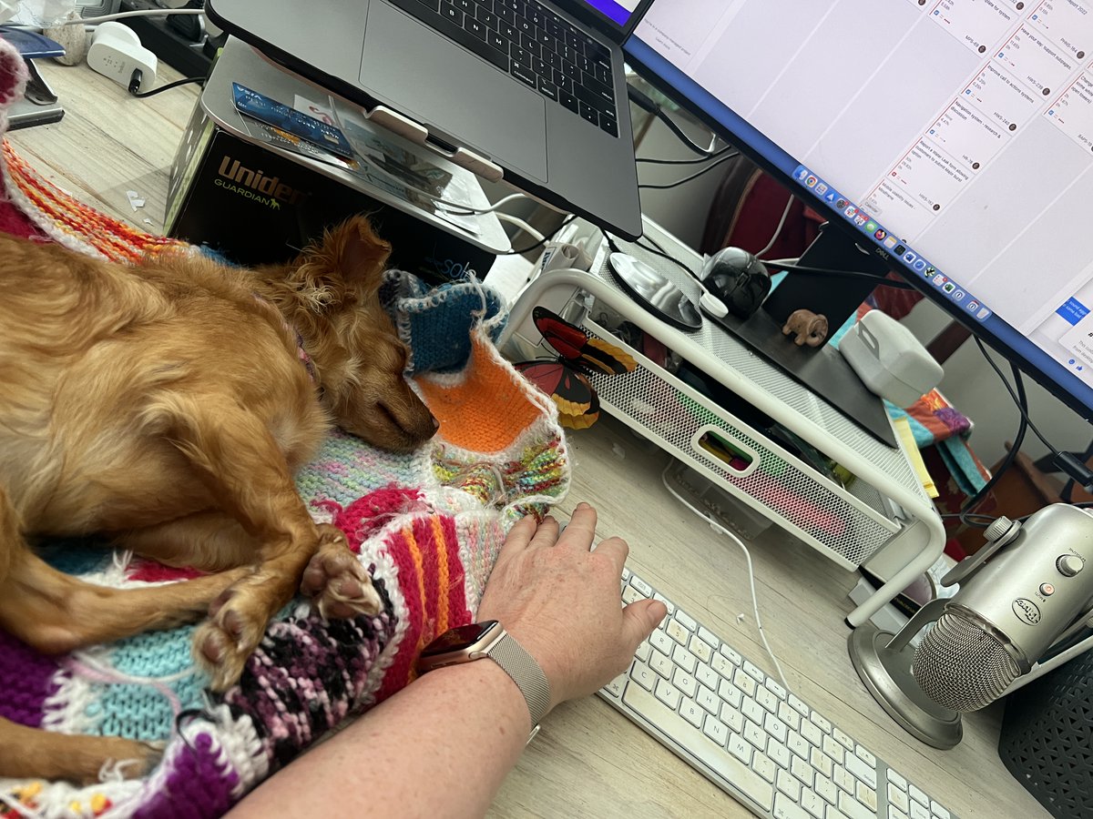 Penny Redhead tweet media