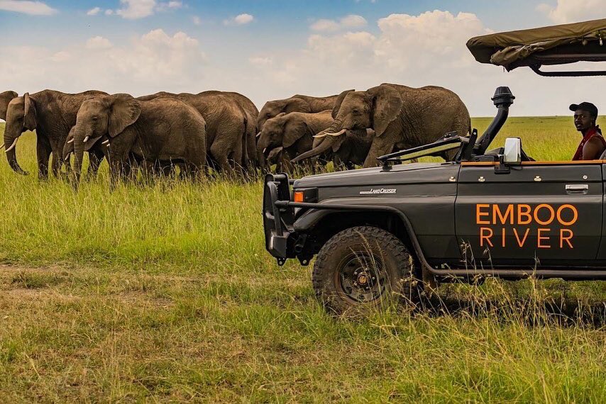 Tourmykenya's tweet photo. You deserve the best safari treat this end year! Call us and get a free quote to Maasai Mara! https://t.co/A635yuoazh