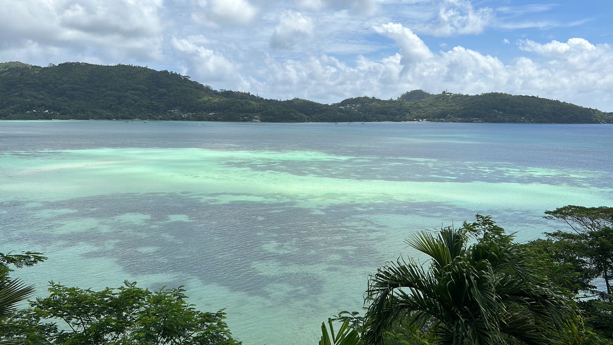 Back in the Seychelles - this time we’re building a farm for a hotel group so that they can become self sufficient with fruit ,herb, veggie and cut flower production and propagation