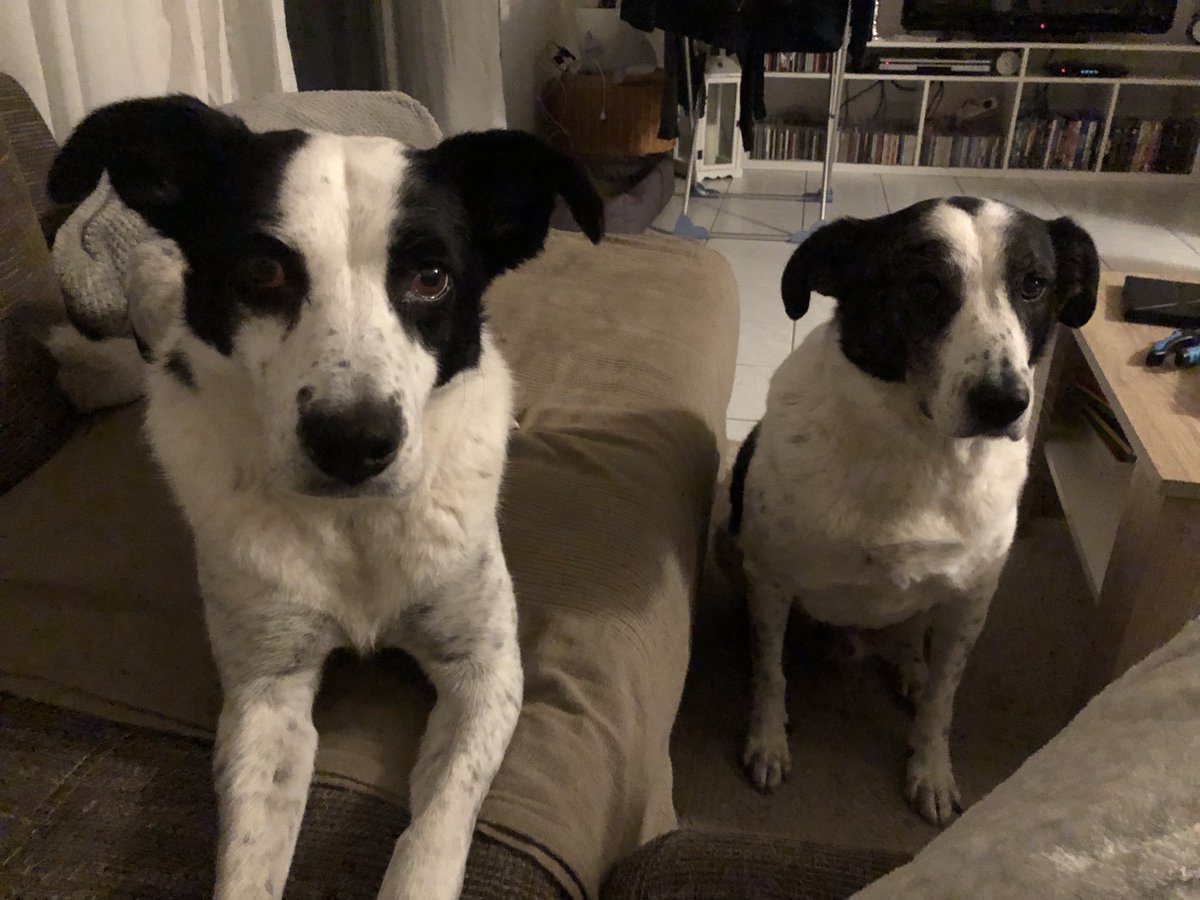 Hungrige Monster am frühen Montag Morgen