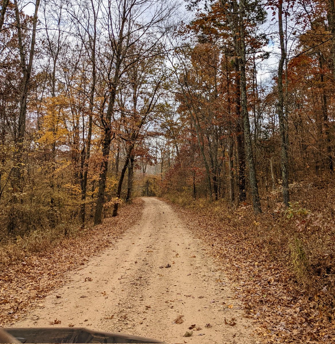 TheKracka's tweet photo. Had a good time exploring those MO backroads and taking in the beautiful colors of fall in the Midwest 🍁🍂🌿#fall #foliage #fallcolors #gettoknowMO https://t.co/fzSQldUFiP