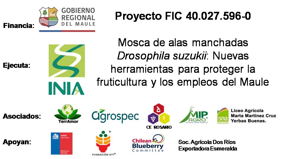 LDevotto's tweet image. INIA Quilamapu, encabezado por su DR Marcelino Claret, participó en el Taller "Desafíos Regionales en Materia Fitosanitaria", para Jefes de División de Fomento Productivo, municipios y SAG, de O'Higgins a Los Ríos. @LDevotto expuso sobre los desafíos en #drosophilasuzukii