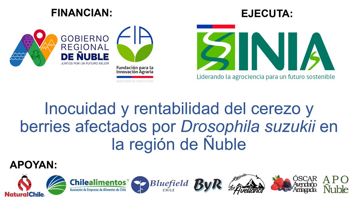 LDevotto's tweet image. INIA Quilamapu, encabezado por su DR Marcelino Claret, participó en el Taller "Desafíos Regionales en Materia Fitosanitaria", para Jefes de División de Fomento Productivo, municipios y SAG, de O'Higgins a Los Ríos. @LDevotto expuso sobre los desafíos en #drosophilasuzukii