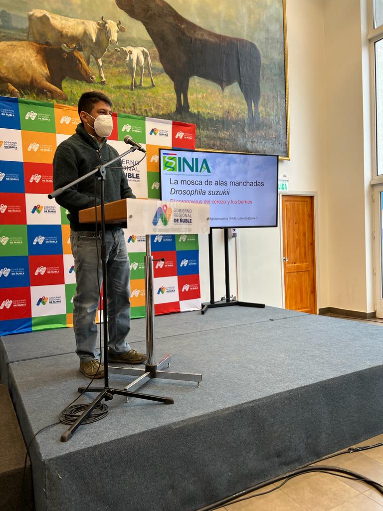 LDevotto's tweet image. INIA Quilamapu, encabezado por su DR Marcelino Claret, participó en el Taller "Desafíos Regionales en Materia Fitosanitaria", para Jefes de División de Fomento Productivo, municipios y SAG, de O'Higgins a Los Ríos. @LDevotto expuso sobre los desafíos en #drosophilasuzukii