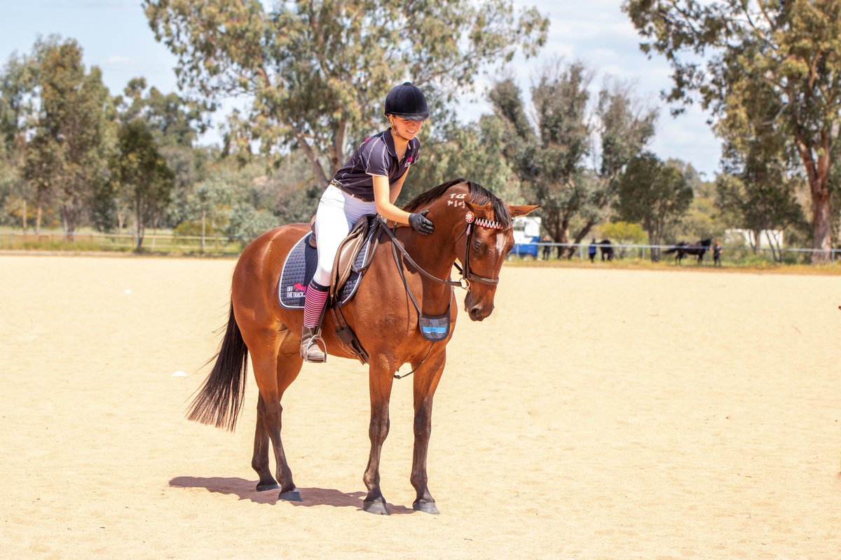 ThompsonRedwood's tweet photo. Meet LP Macz Brother, a new star at Lokenzo Park who after just 2 weeks won his first Champion Ridden Standardbred. He is fuelled by Claytons Pellets &amp; our new Lupin Fibre Cubes...&amp; look at the topline &amp; shine! 📷 Kelly Thomas
@OfficialRWWA #offthetrack #standardbred https://t.co/kqM5wr69pP