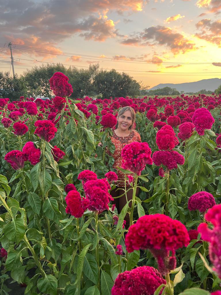 MarizaOV's tweet photo. Tarde llena de amor https://t.co/wjSpnUI8in