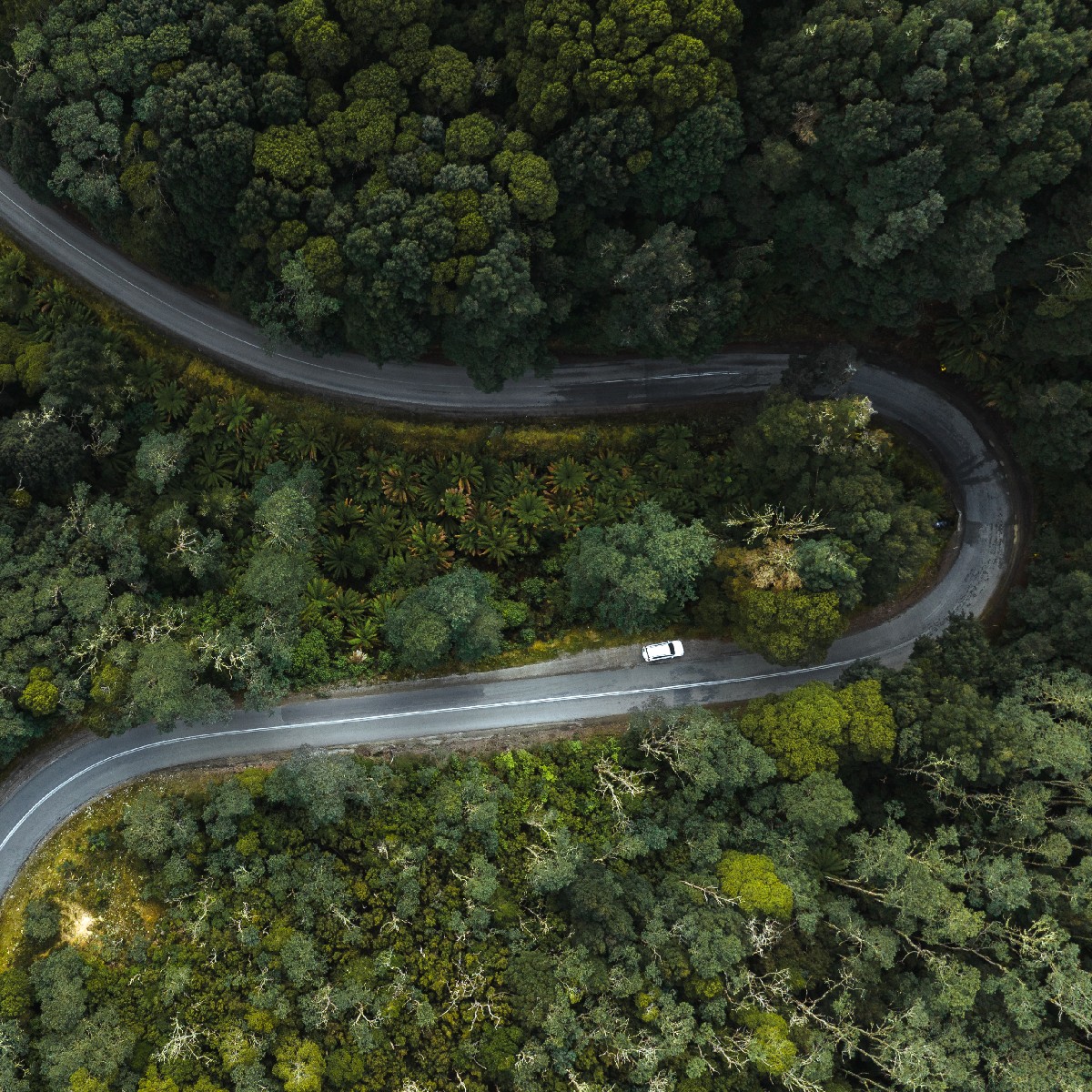 City life driving you around the bend? Time for a Tassie road trip.⏰ 📍 Wherever the road takes you 📷 @jasoncharleshill & @helloemilie #DiscoverTasmania