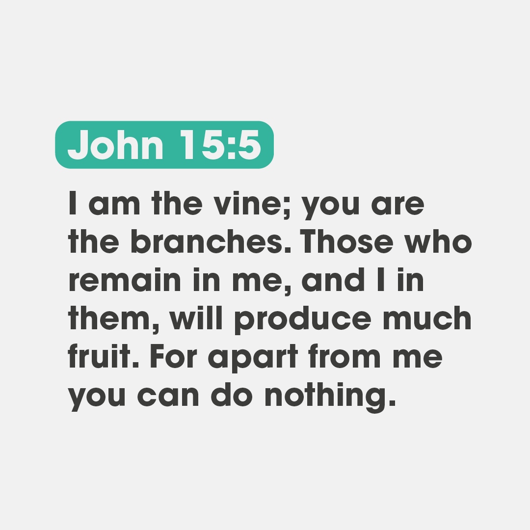 jjohnglobal's tweet photo. // verse of the day //

I am the vine; you are the branches. Those who remain in me, and I in them, will produce much fruit. For apart from me you can do nothing.

John 15:5

#VerseOfTheDay https://t.co/8VHfcs6EsI