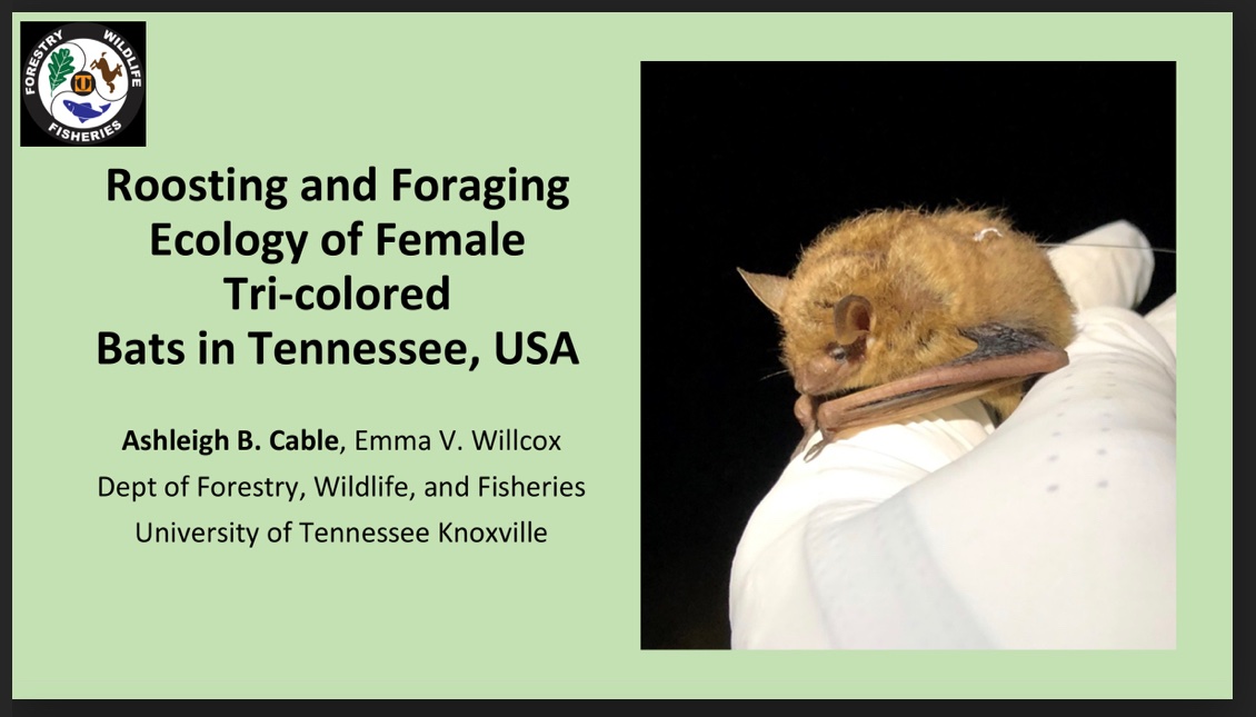 I’ll be presenting today 3:30 in SSC - 111C in the Conservation and Ecology of Mammals Session #TWS2022