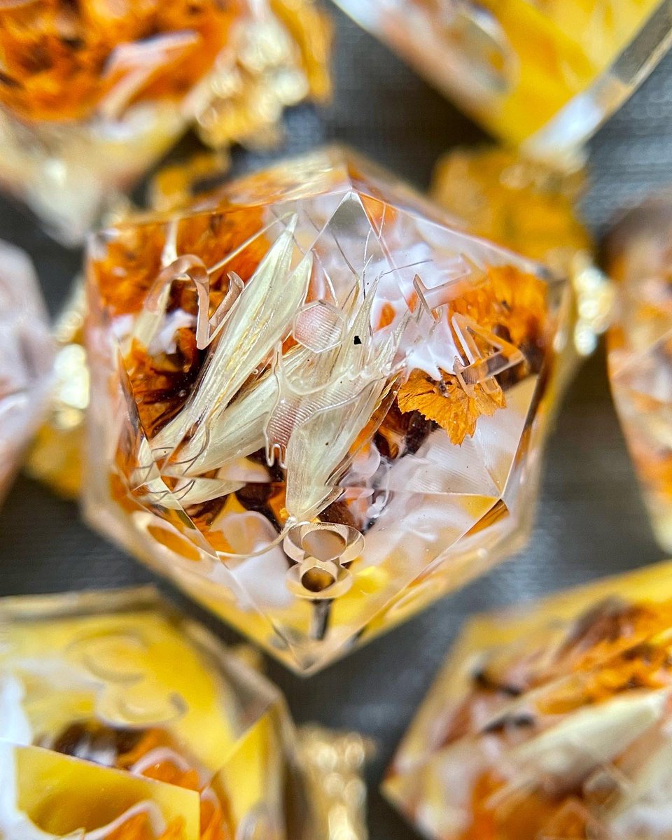 DicebyDi tweet media