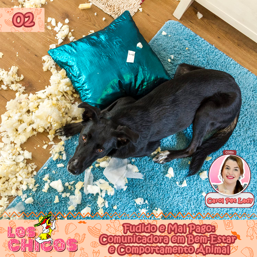 podcastloschico's tweet photo. E saiu nosso segundo episódio de profissões, com a @ThePetLadyBH ! Ouça aqui: https://t.co/TuvEZ4AbFN https://t.co/T5lxQJKCO6