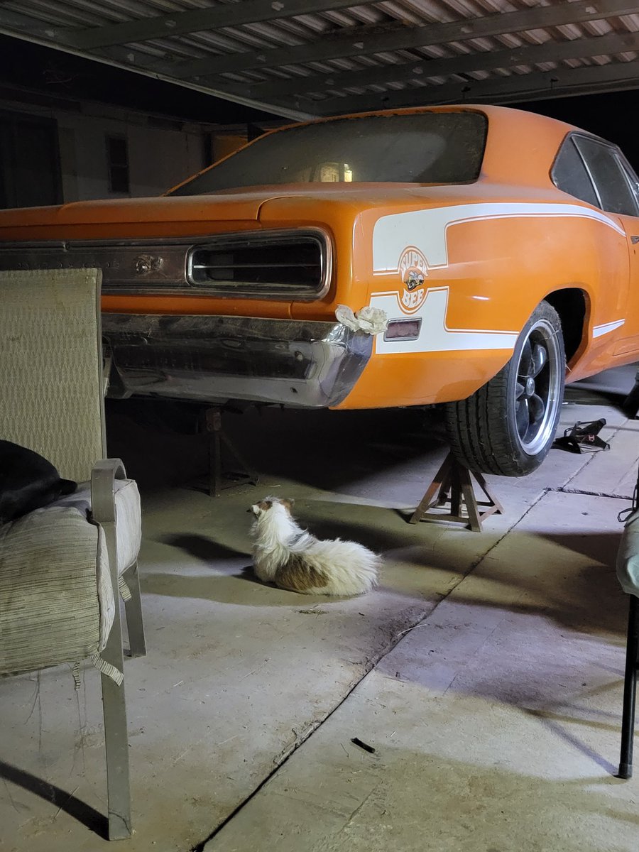 VernonDuvall's tweet photo. @graveyardcarz @GYC_Mark @OfficialMOPAR @autometaldirect @MotorTrendTV @wills_magic_hat @JustinGjesdal Would love to send my Bee too GYC! https://t.co/aPqnzDWIn0
