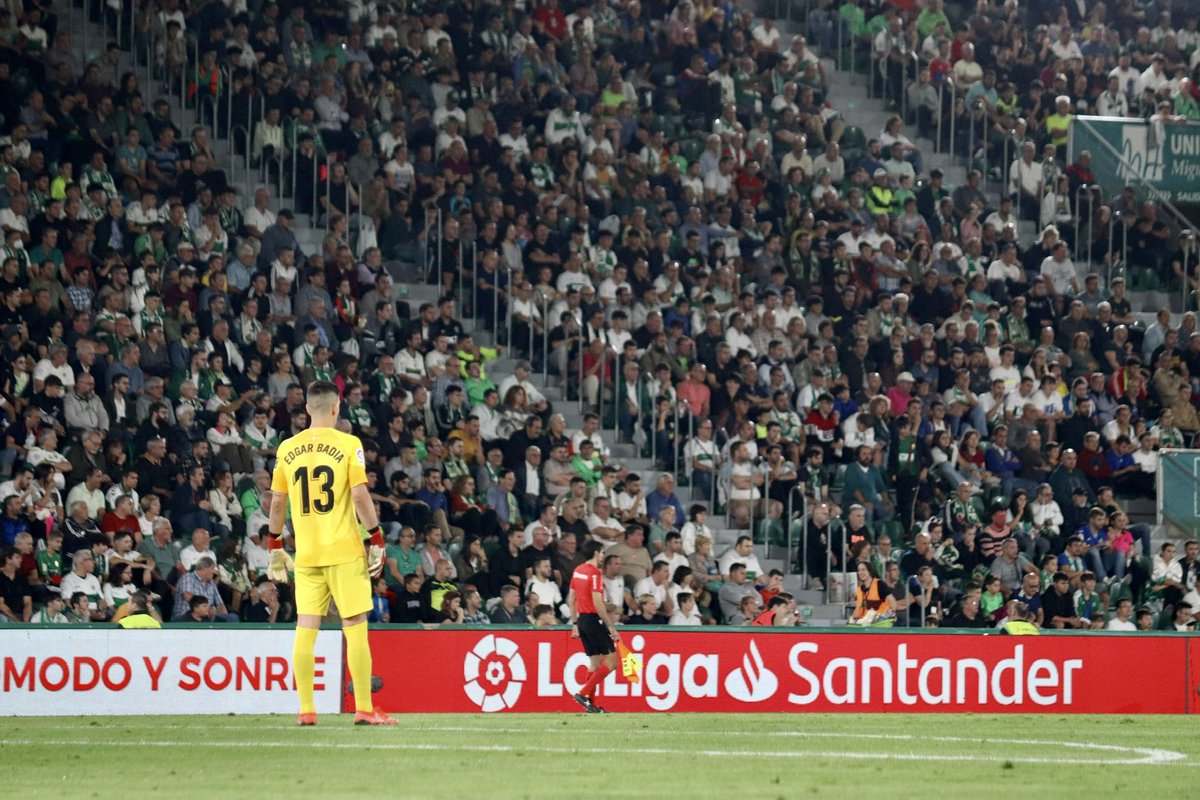 edgarbadia's tweet photo. Mañana necesitamos estar TODOS UNIDOS y con vosotros ser 12 en el MV. VAMOS SIEMPRE A LO ELCHE 💚 https://t.co/DgcSdDeje7