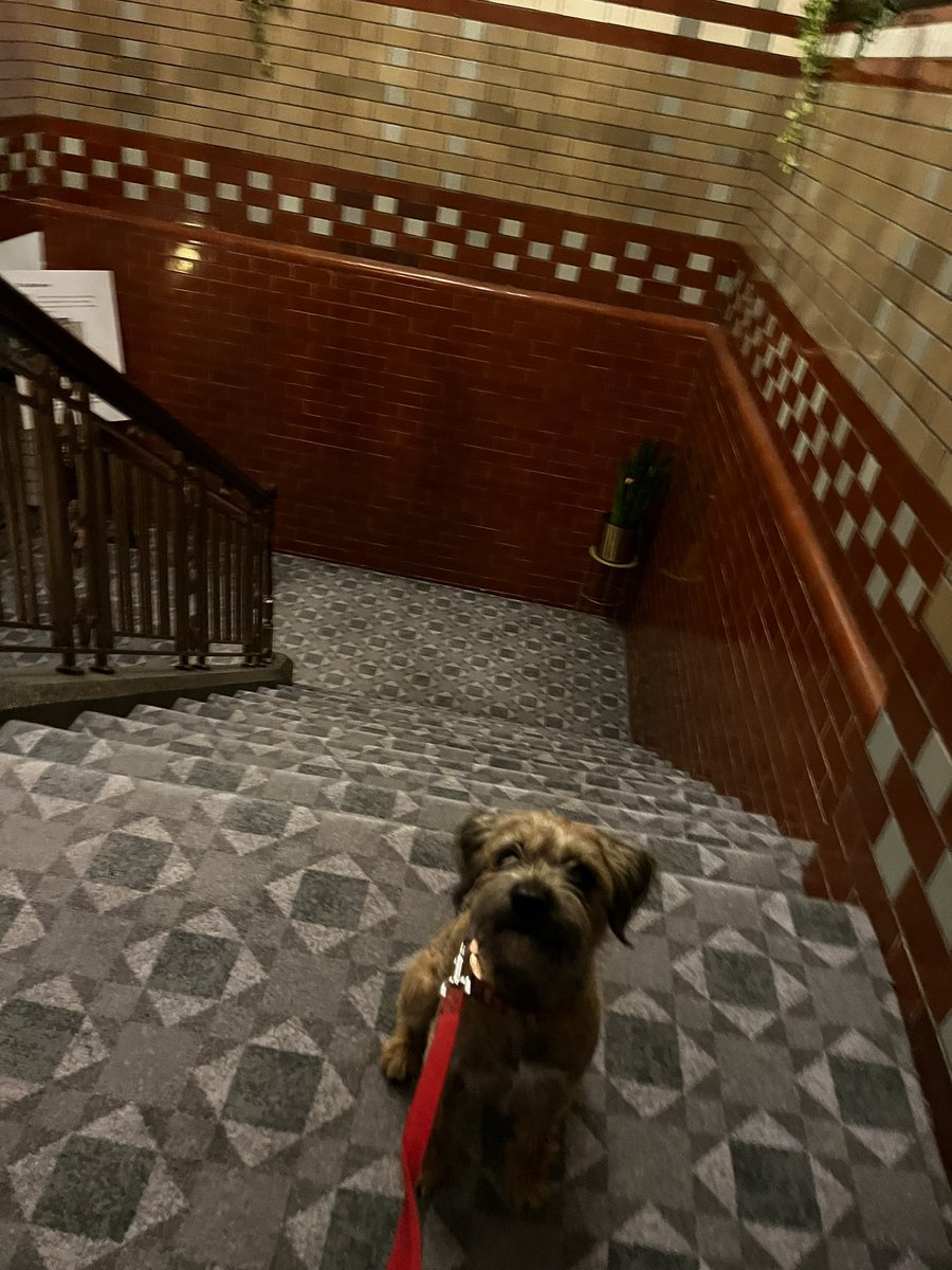 Rebekah Spratt 💫 tweet media