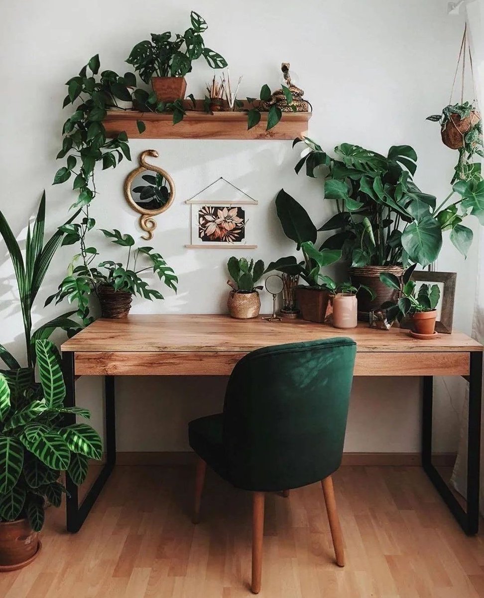 A calming work area 🌿
