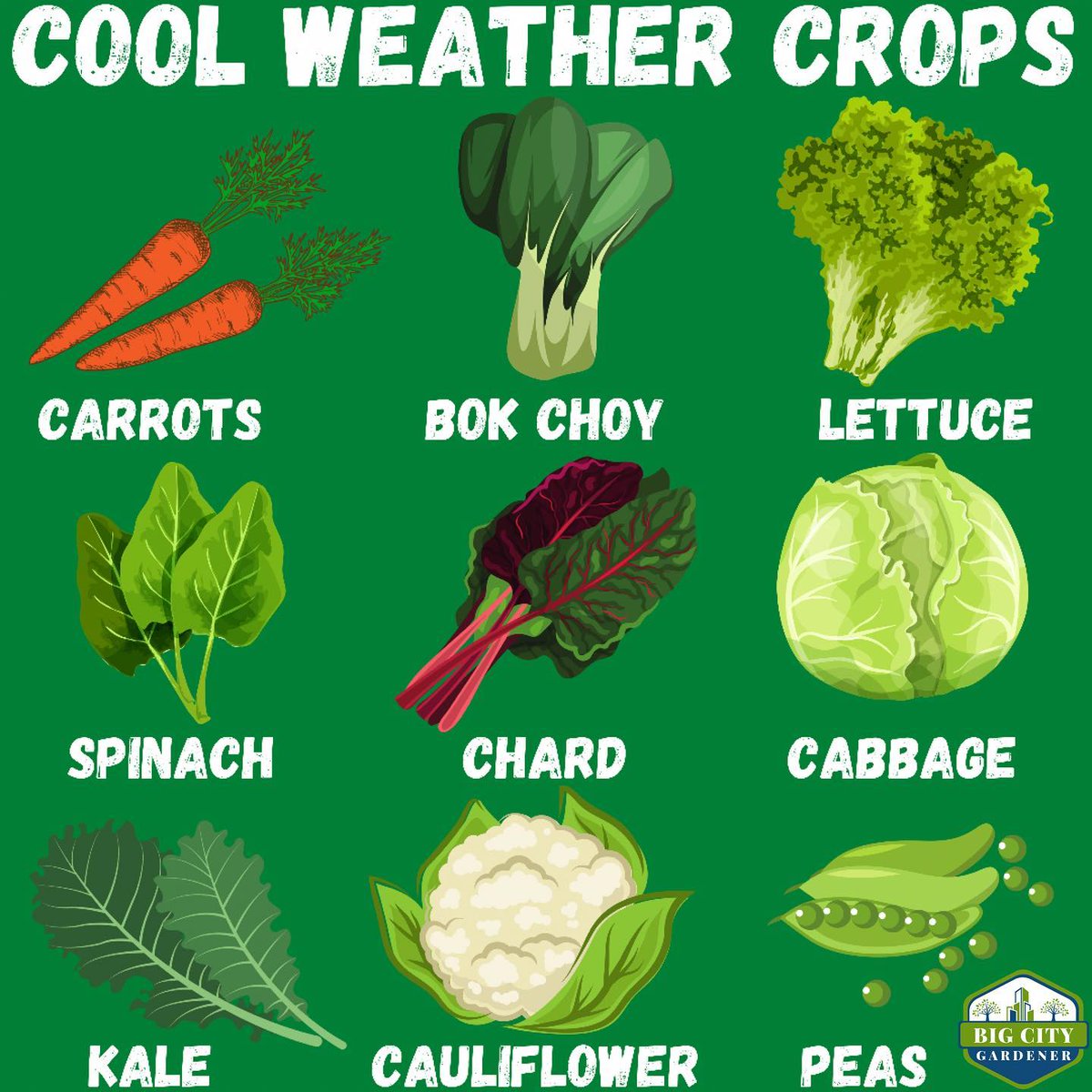 subvgardener's tweet photo. This post by @bigcitygardener gives us a few crop options we can grow in the fall.
#SeedTheRevolution #FallCrops https://t.co/JNUlJh98h1