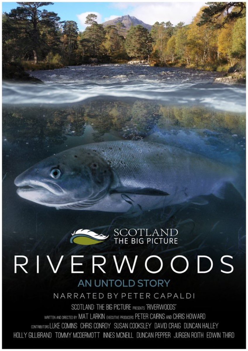 #Riverwoods is on Channel 5 (Sky 153) tonight at 8pm. We were privileged to help with this stunning film from @ScotlandTBP that tells the story of salmon, river and forest. If you missed the sell out tour, or have been waiting to watch it again - catch it tonight! #COP27